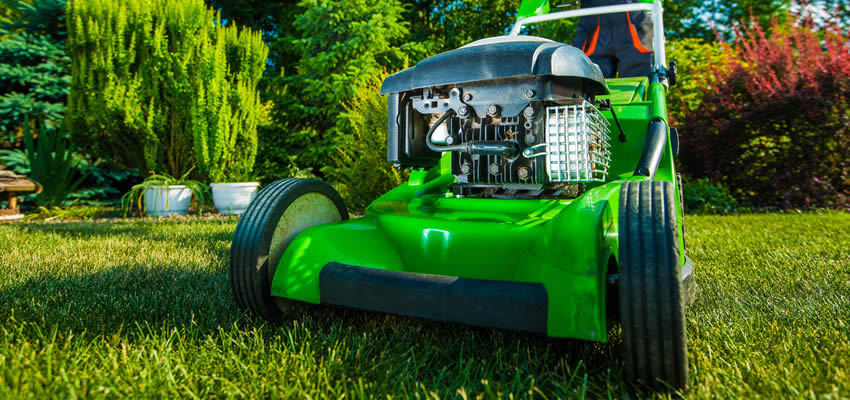 Lawn Care Tips