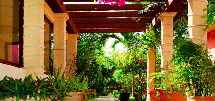 How to Make a Shade Garden